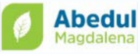 Abedul